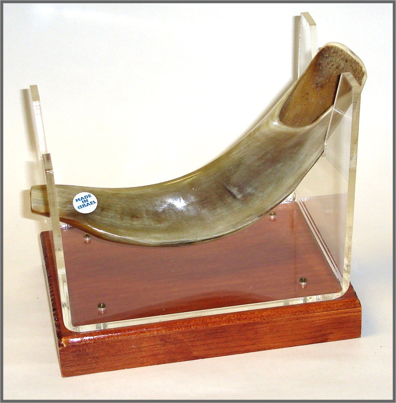 SHOFAR SH-D MINI 10 INCH