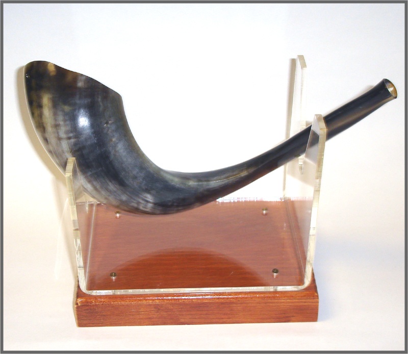 SHOFAR MEDIUM SHB 14 INCH