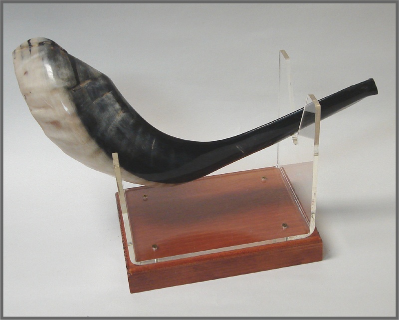 SHOFAR LARGE SHA #5 15 INCH