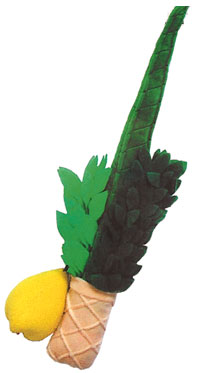 LULAV TOY